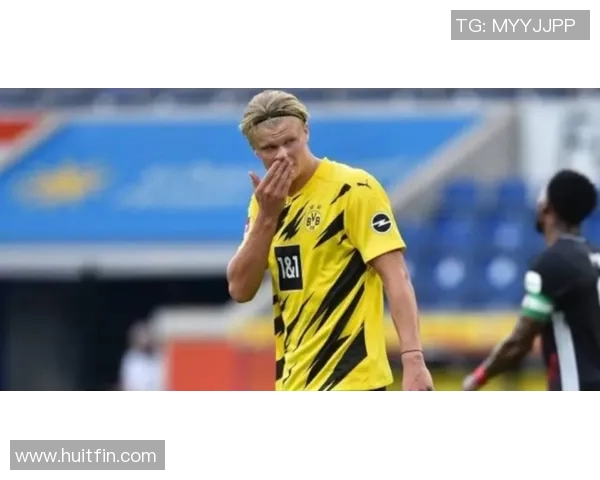 拜仁慕尼黑悍将贝尔纳多领先德甲射手榜,谁与争锋? 拜仁慕尼黑悍将贝尔纳多领先德甲射手榜,谁与争锋?