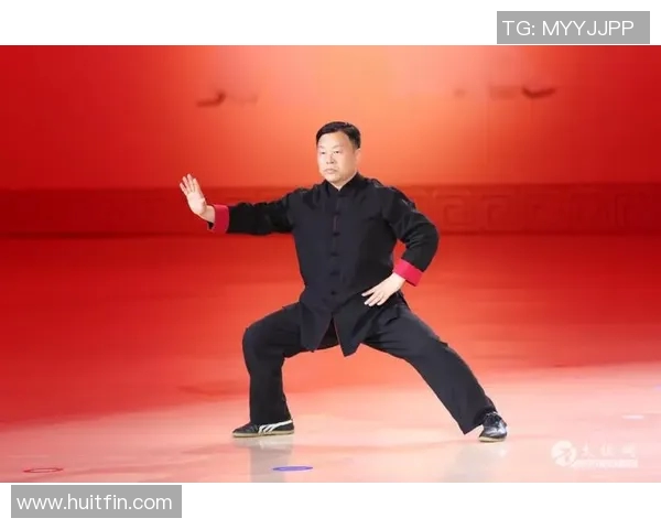 探索24式陈氏太极拳的精髓与魅力，领悟传统武术的智慧与力量